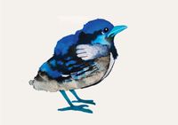 frida&#039;s blue bird